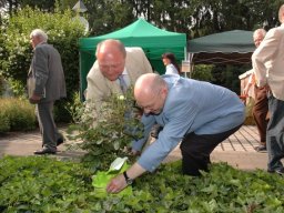600 Jahre Feier
