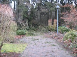 Sturm Emma