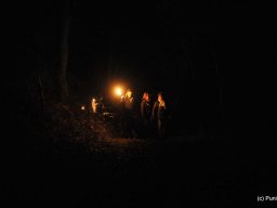 Fackelwanderung 2014