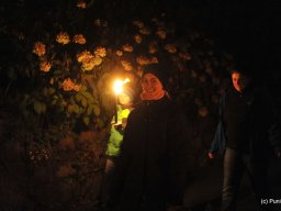Fackelwanderung 2014