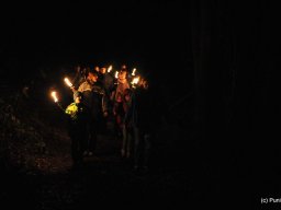 Fackelwanderung 2014