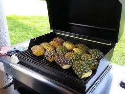 Grillevent 2016